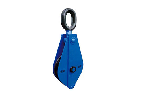 Ring pulley